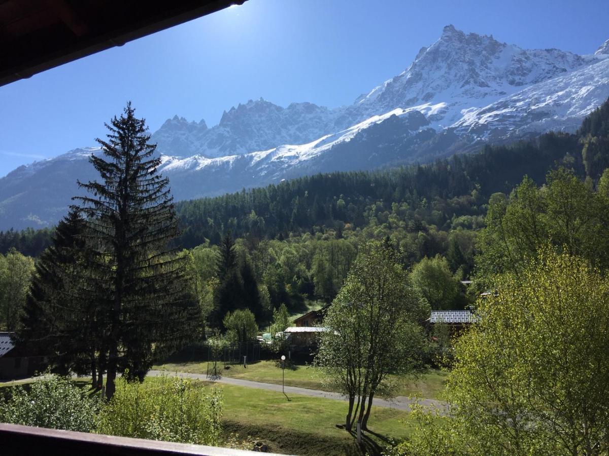 Appartement Face Au Mont Blanc & Glaciers Chamonix Esterno foto